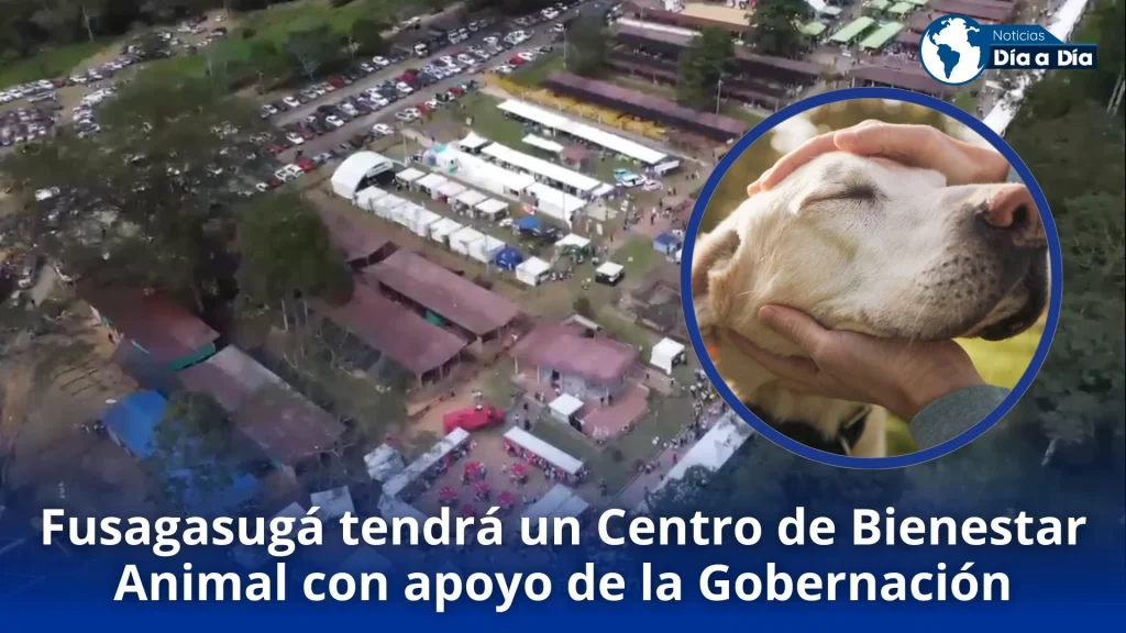 fusagasuga-centro-animal