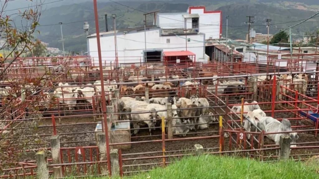 La Secretaría de Hacienda de Cundinamarca instala circuito de cámaras en frigoríficos para blindar el recaudo del impuesto al degüello y combatir la evasión fiscal