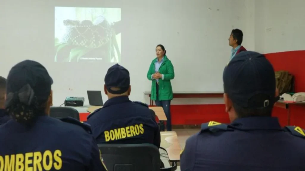 Bomberos de Cundinamarca reciben formación especializada en manejo de ofidios para proteger la fauna silvestre y la comunidad