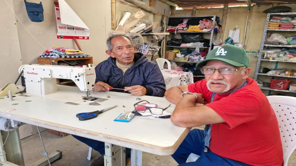 car-inclusion-economia