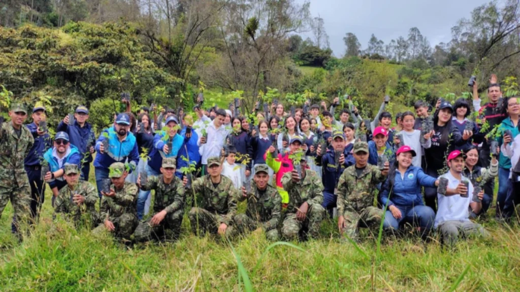 cundinamarca-arboles-riesgos