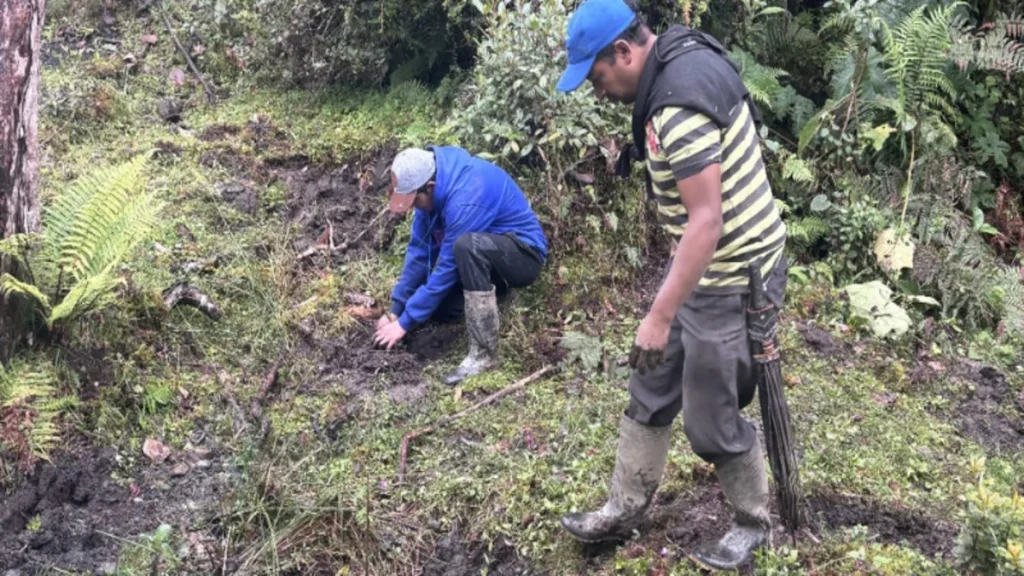 Lanzamiento oficial de “Siembra Comunal“, una estrategia de $179 millones para fortalecer la resiliencia comunitaria ante la crisis climática