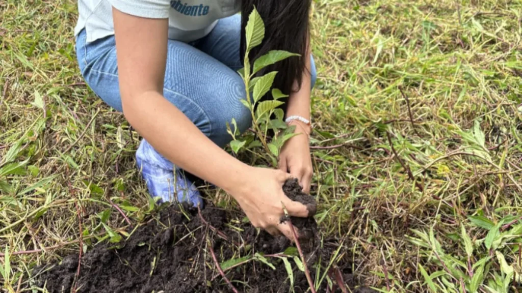 Lanzamiento oficial de “Siembra Comunal“, una estrategia de $179 millones para fortalecer la resiliencia comunitaria ante la crisis climática