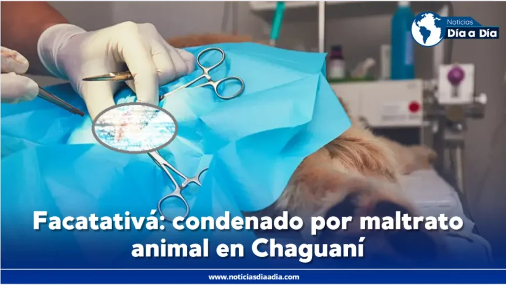 condenado-muerte-mascota