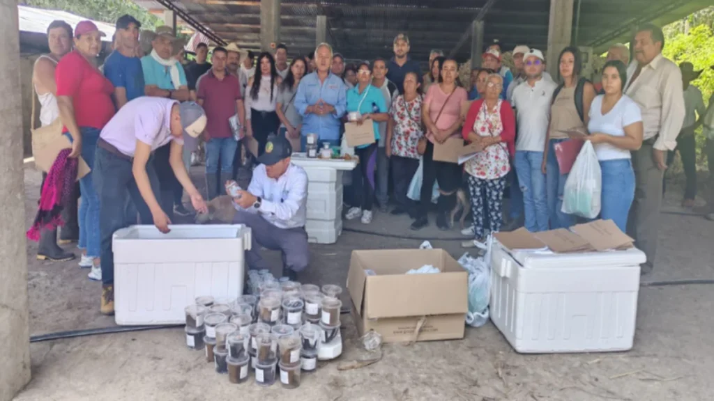 Cundinamarca revoluciona la producci贸n panelera en la regi贸n