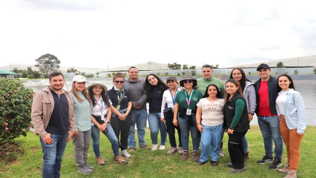 car-economia-empresas