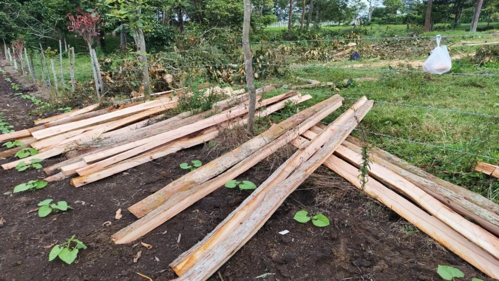car-madera-cundinamarca
