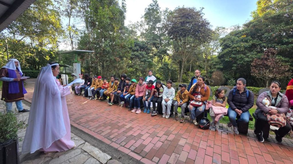 car-navidad-verde-parques