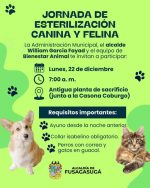 fusagasuga-esterilizacion