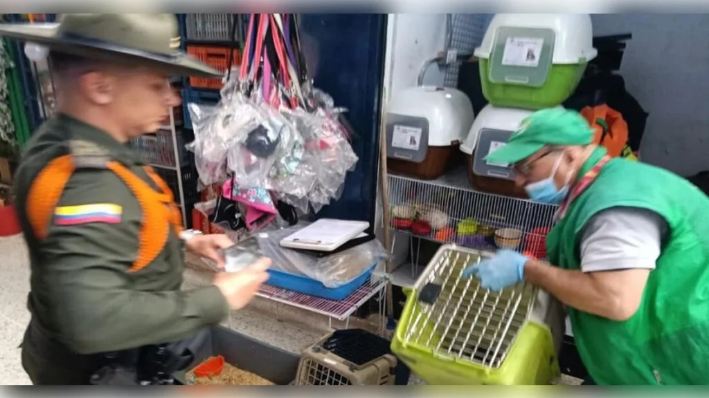 bogota-animales-plaza