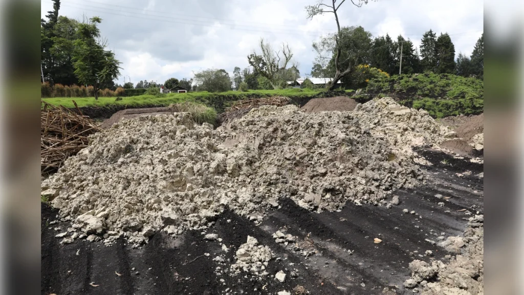 car-mina-madrid-tala-ilegal