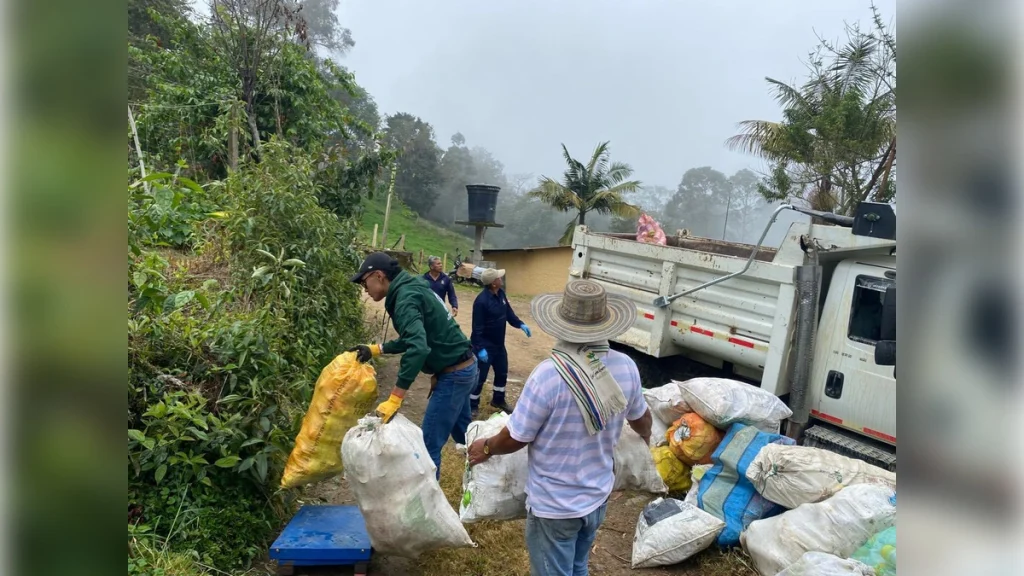 fusagasuga-recoleccion