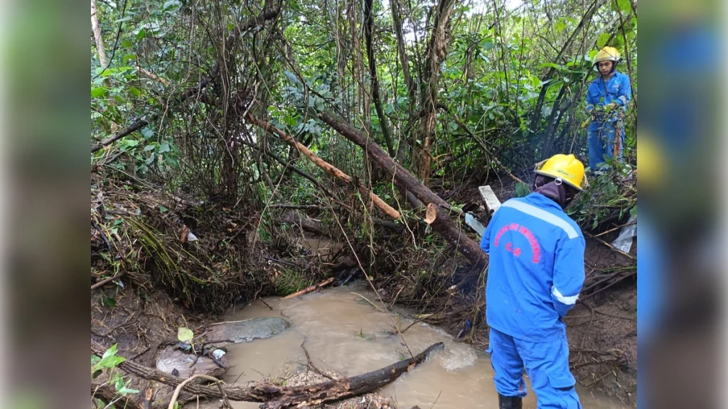 emergencia-la-mesa-car