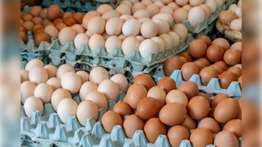 crisis-huevo-cundinamarca