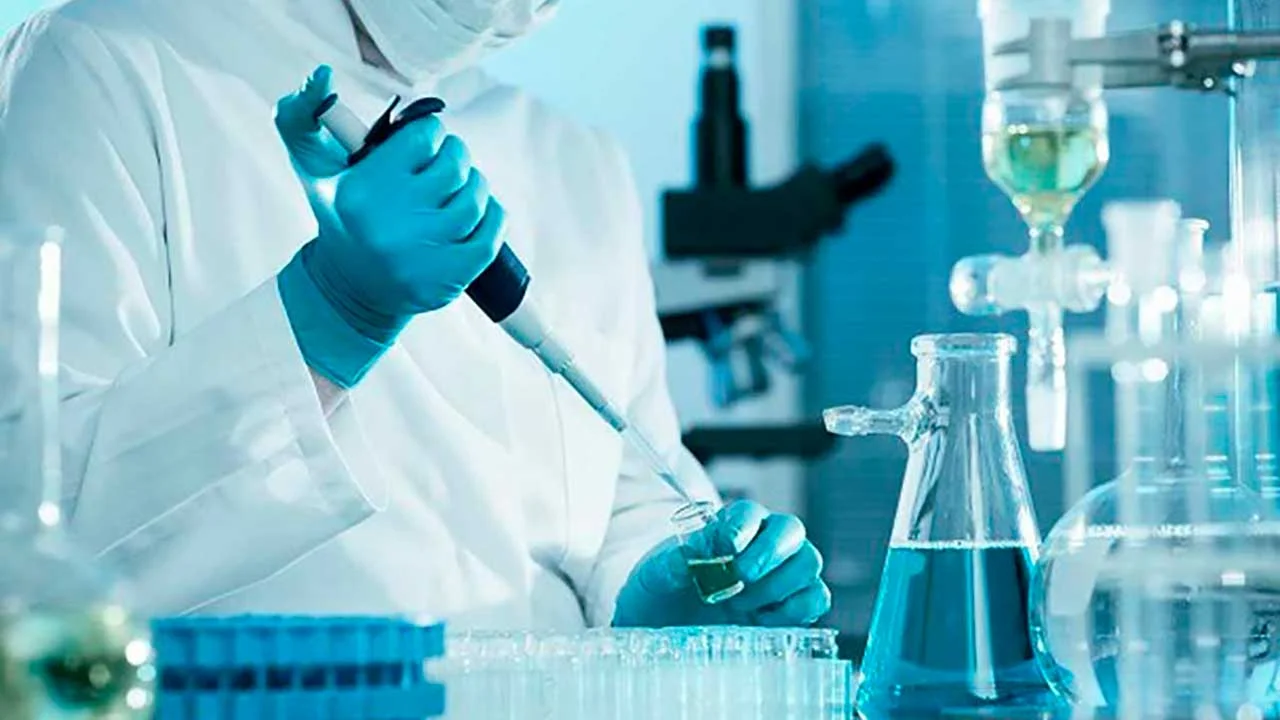 Exportaciones no minero energéticas registran sólido incremento entre enero y noviembre de 2025